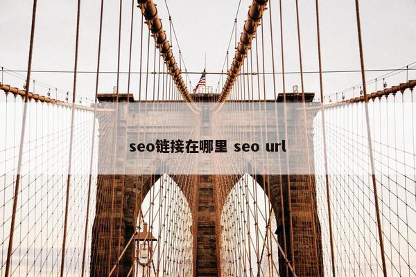 seo链接在哪里 seo url