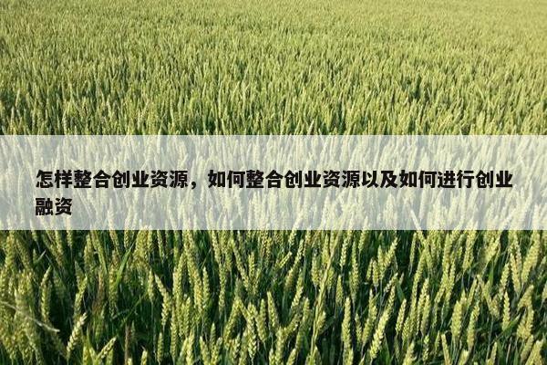 怎样整合创业资源，如何整合创业资源以及如何进行创业融资