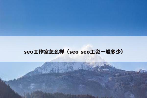 seo工作室怎么样（seo seo工资一般多少）