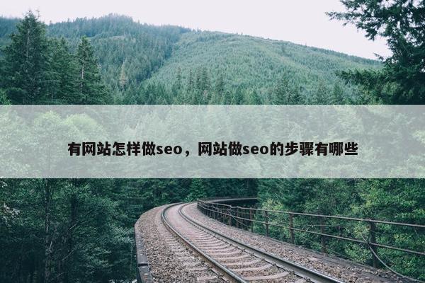 有网站怎样做seo，网站做seo的步骤有哪些