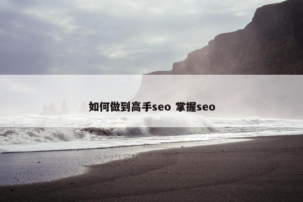 如何做到高手seo 掌握seo