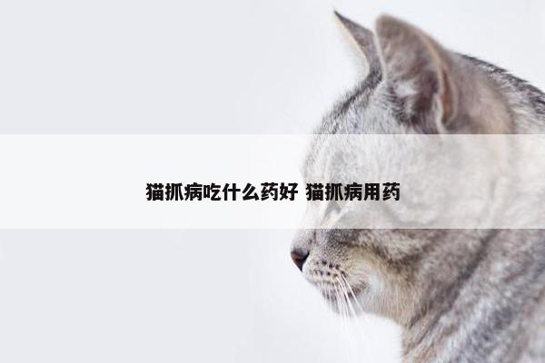 猫抓病吃什么药好 猫抓病用药