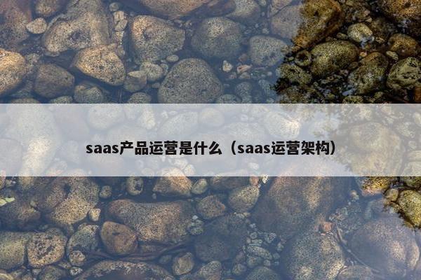 saas产品运营是什么（saas运营架构）