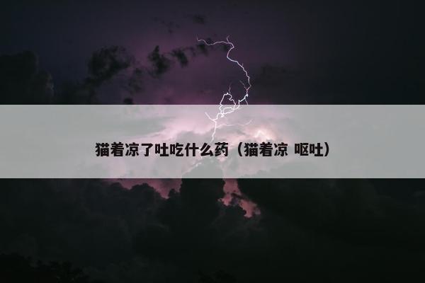 猫着凉了吐吃什么药（猫着凉 呕吐）