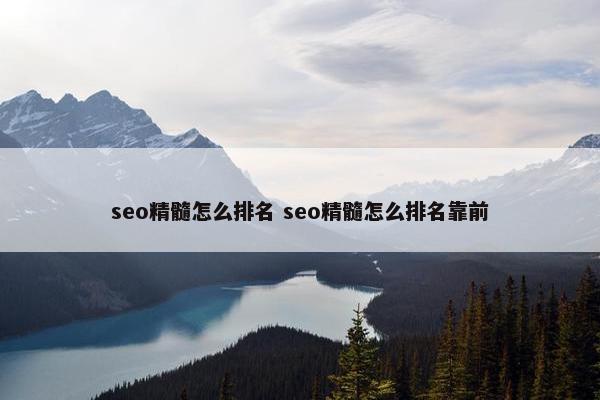 seo精髓怎么排名 seo精髓怎么排名靠前