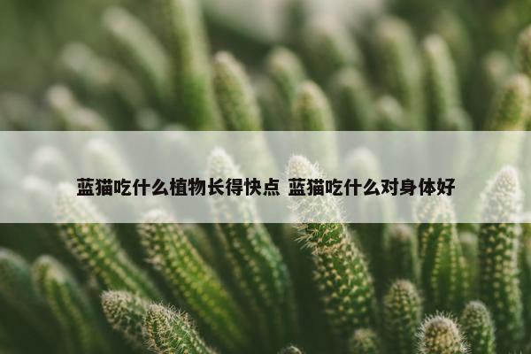 蓝猫吃什么植物长得快点 蓝猫吃什么对身体好