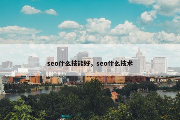 seo什么技能好，seo什么技术