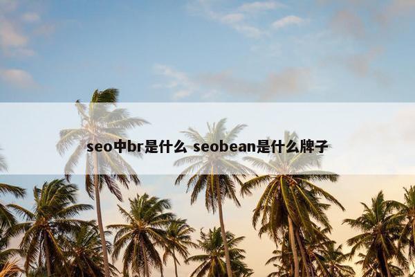 seo中br是什么 seobean是什么牌子