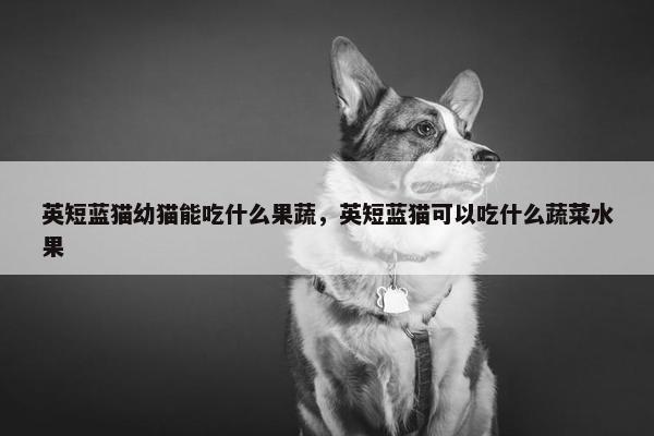 英短蓝猫幼猫能吃什么果蔬，英短蓝猫可以吃什么蔬菜水果