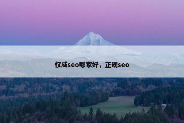 权威seo哪家好，正规seo