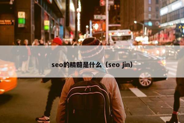 seo的精髓是什么（seo jin）