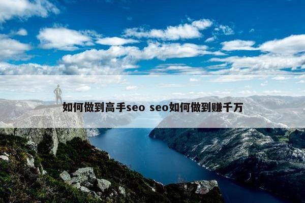 如何做到高手seo seo如何做到赚千万