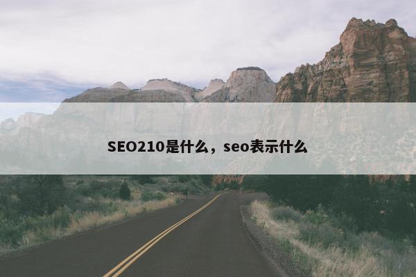 SEO210是什么，seo表示什么