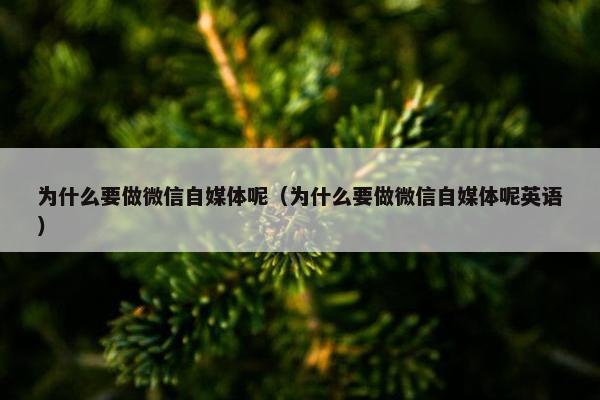 为什么要做微信自媒体呢（为什么要做微信自媒体呢英语）