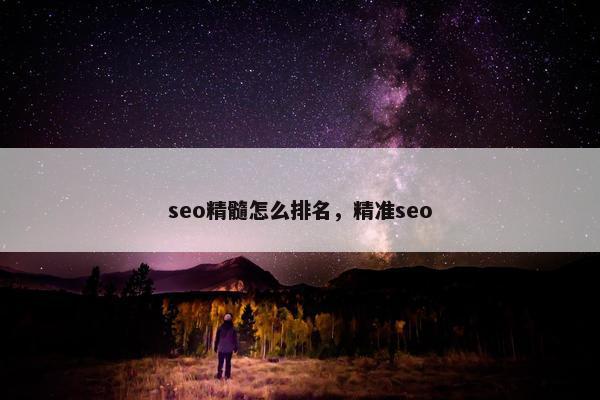 seo精髓怎么排名，精准seo