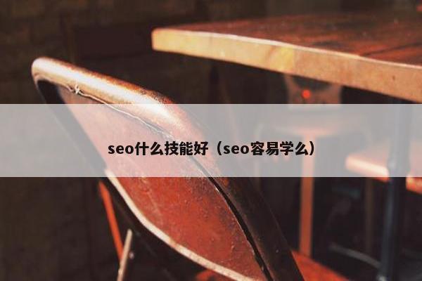 seo什么技能好（seo容易学么）