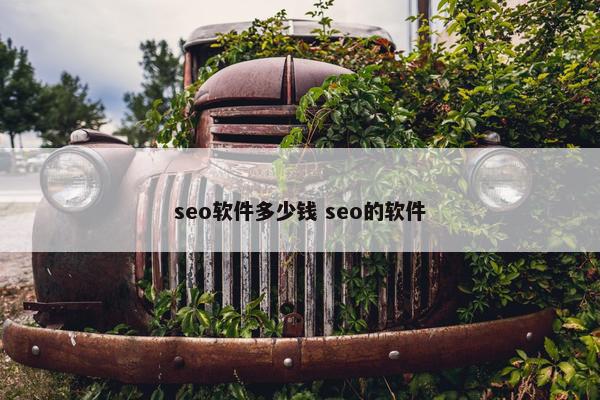 seo软件多少钱 seo的软件