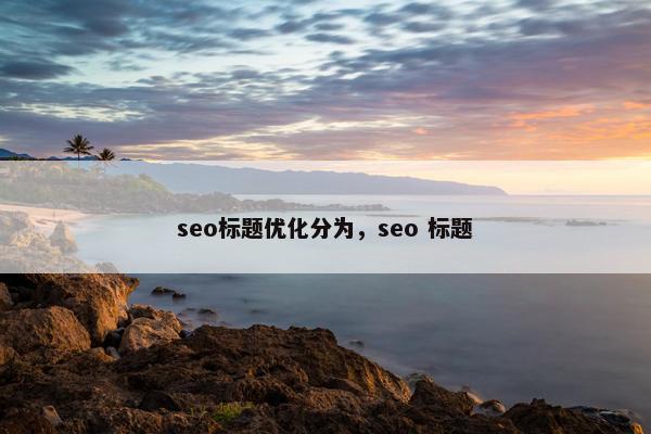 seo标题优化分为，seo 标题