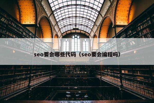 seo要会哪些代码（seo要会编程吗）