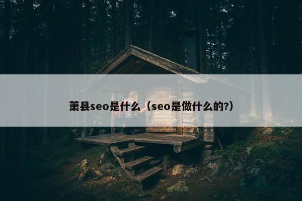 萧县seo是什么（seo是做什么的?）