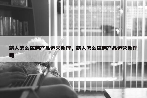 新人怎么应聘产品运营助理，新人怎么应聘产品运营助理呢