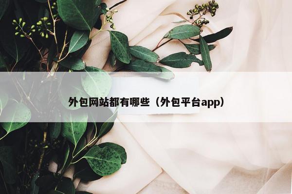 外包网站都有哪些（外包平台app）