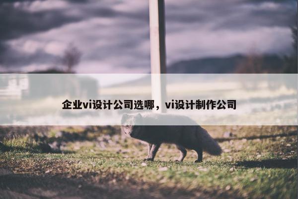 企业vi设计公司选哪，vi设计制作公司