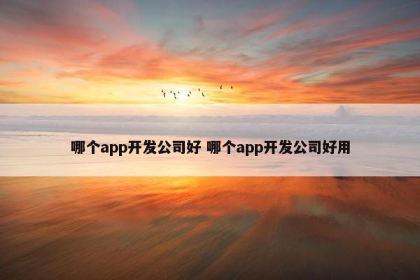 哪个app开发公司好 哪个app开发公司好用