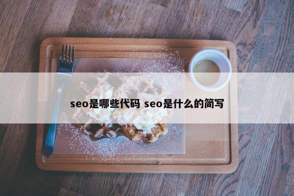 seo是哪些代码 seo是什么的简写