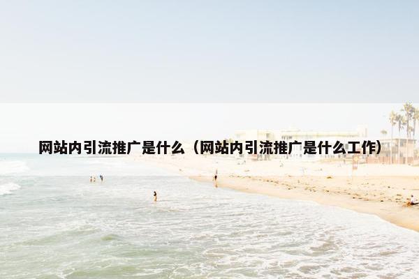 网站内引流推广是什么（网站内引流推广是什么工作）