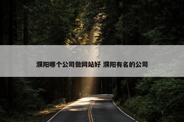 濮阳哪个公司做网站好 濮阳有名的公司