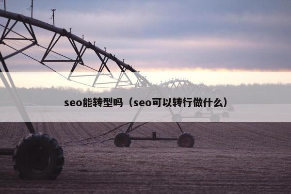 seo能转型吗（seo可以转行做什么）