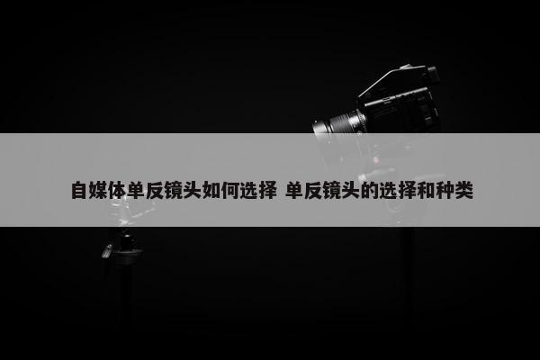 自媒体单反镜头如何选择 单反镜头的选择和种类