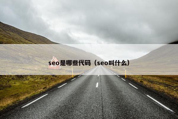 seo是哪些代码（seo叫什么）