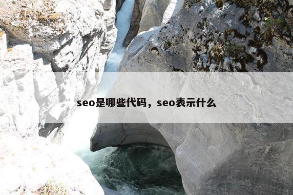 seo是哪些代码，seo表示什么