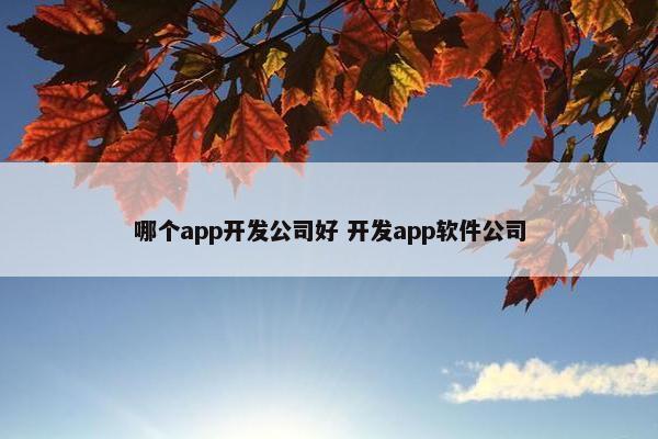 哪个app开发公司好 开发app软件公司