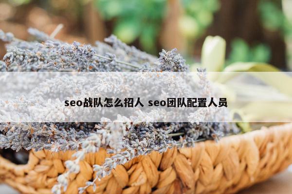 seo战队怎么招人 seo团队配置人员