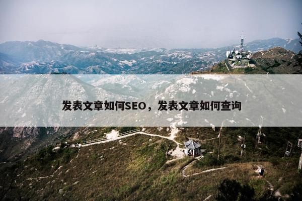 发表文章如何SEO，发表文章如何查询