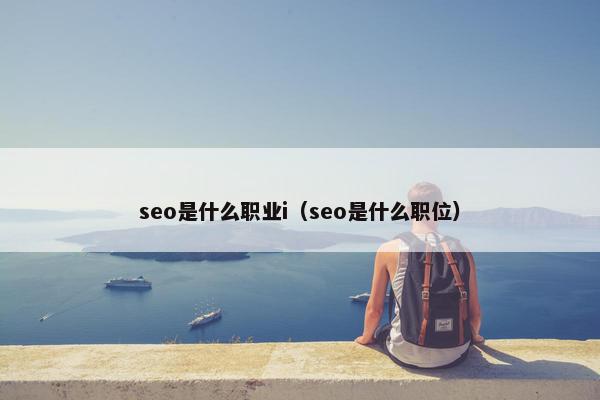 seo是什么职业i（seo是什么职位）