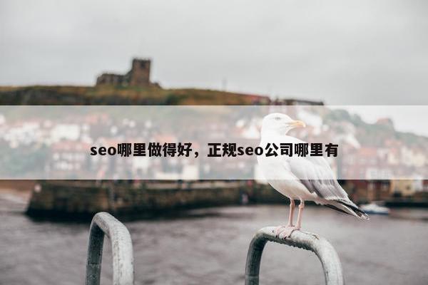 seo哪里做得好，正规seo公司哪里有