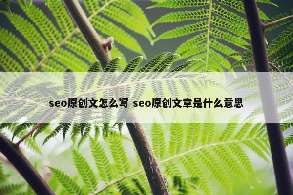 seo原创文怎么写 seo原创文章是什么意思