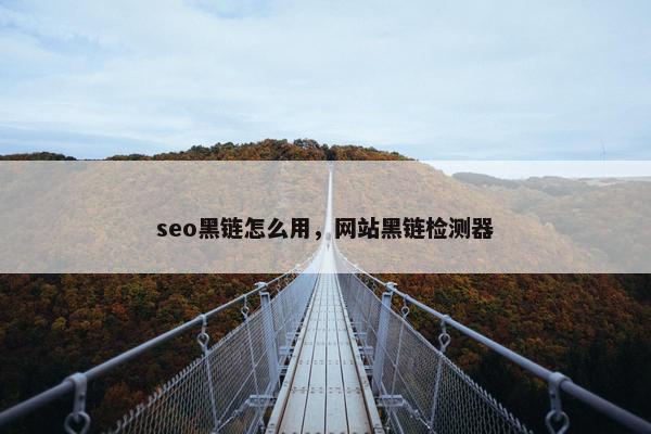 seo黑链怎么用，网站黑链检测器