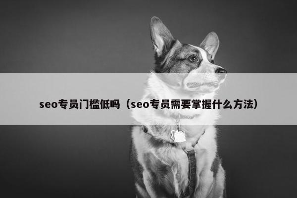 seo专员门槛低吗（seo专员需要掌握什么方法）