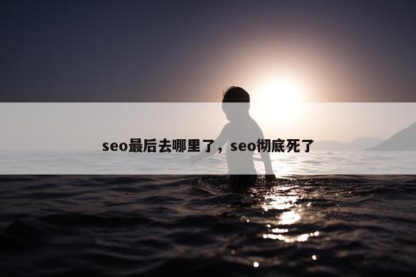 seo最后去哪里了，seo彻底死了