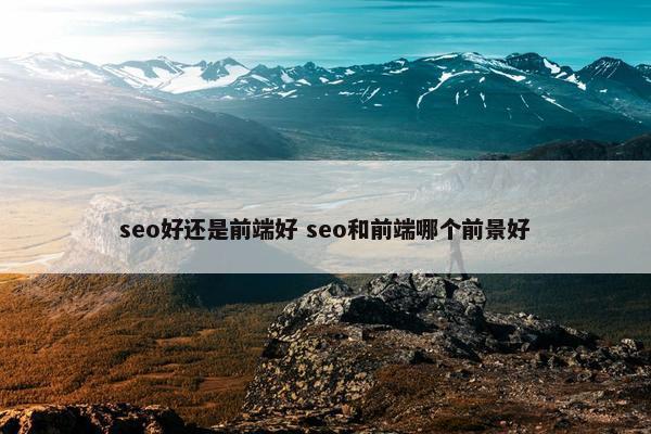 seo好还是前端好 seo和前端哪个前景好