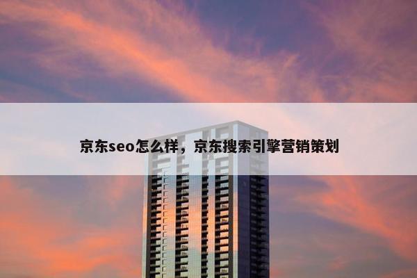 京东seo怎么样，京东搜索引擎营销策划