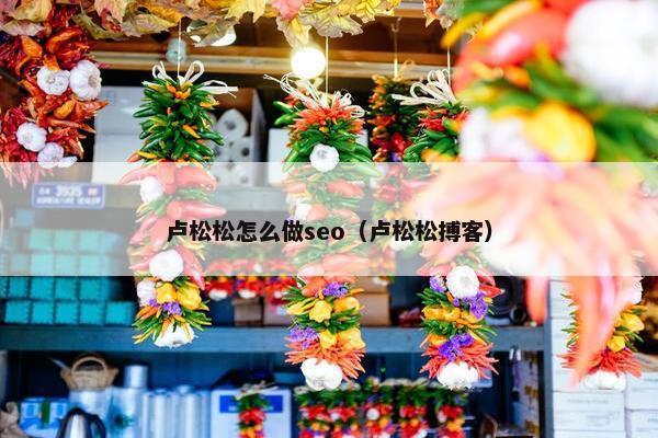 卢松松怎么做seo（卢松松搏客）