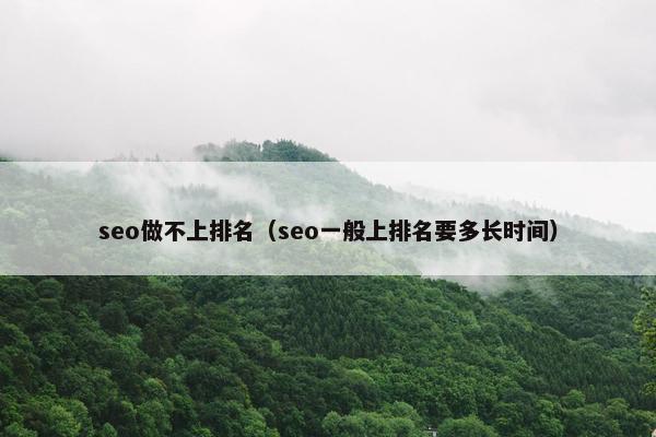 seo做不上排名（seo一般上排名要多长时间）