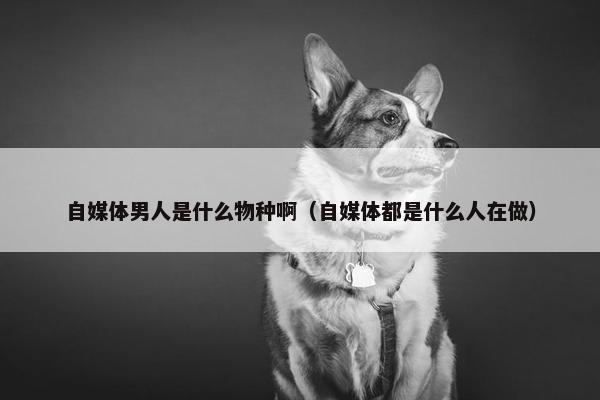 自媒体男人是什么物种啊（自媒体都是什么人在做）