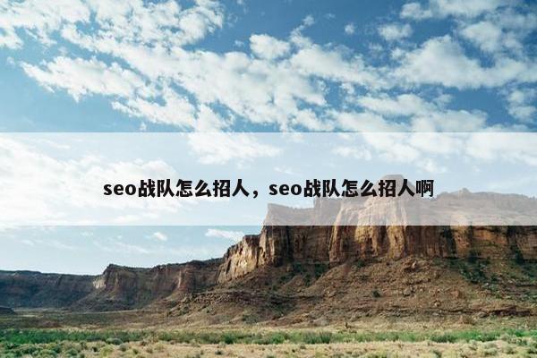 seo战队怎么招人，seo战队怎么招人啊